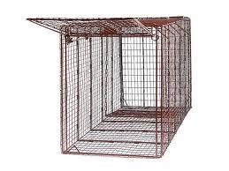 Rental store for LIVE TRAP,LARGE 16 X16 X48 in Delano MN
