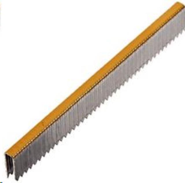 Rental store for Carpet Staples 9 16  Clip 5000ct in Delano MN