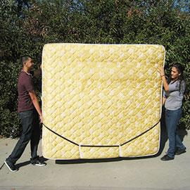Rental store for Mattress Mover in Delano MN
