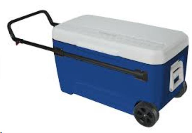 Rental store for Cooler 110 Qt. in Delano MN