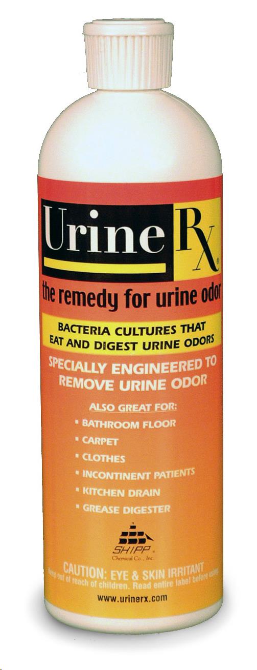 Rental store for Carpet Urine Rx Oder Eliminator Qt in Delano MN