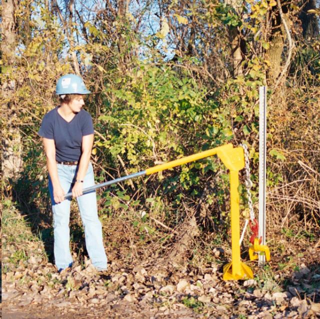 Where to find Post Puller Rhino in Delano