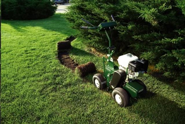 Rental store for Sod Cutter, 12 Gas Turfco in Delano MN