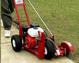 Rental store for Lawn Edger Side Walk in Delano MN