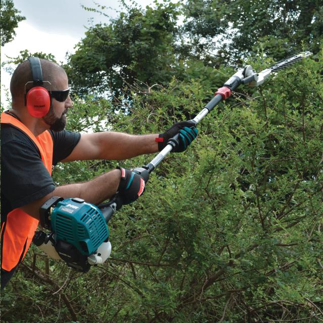 Where to find Hedge Articulating Trimmer 20 Gas in Delano
