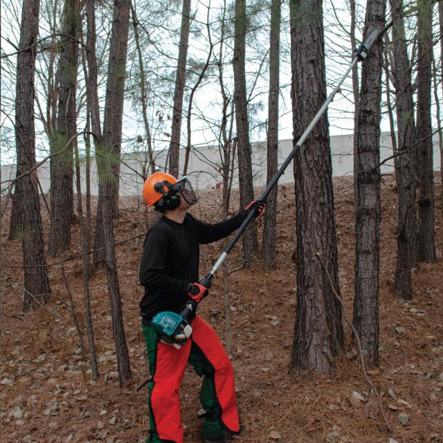 Rental store for 13 Pole Saw Pruner Gas in Delano MN