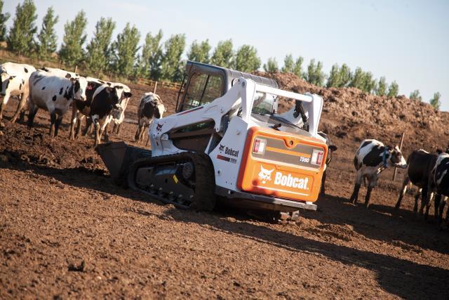 Rental store for Bobcat T595 Skid W 14 Dump Trailer in Delano MN